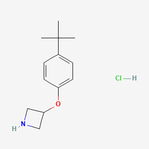 3-[4-(tert-Butyl)phenoxy]azetidine hydrochloride