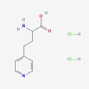 molecular formula C9H14Cl2N2O2 B1447657 2-Amino-4-pyridin-4-ylbutanoic acid dihydrochloride CAS No. 92767-16-3