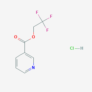 molecular formula C8H7ClF3NO2 B1447700 2,2,2-Trifluoroethyl pyridine-3-carboxylate hydrochloride CAS No. 1803587-60-1