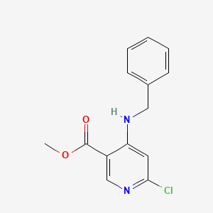 molecular formula C14H13ClN2O2 B1447754 Methyl 4-(benzylamino)-6-chloronicotinate CAS No. 1374215-05-0