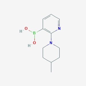 molecular formula C11H17BN2O2 B1447779 (2-(4-Methylpiperidin-1-yl)pyridin-3-yl)boronic acid CAS No. 1704063-44-4
