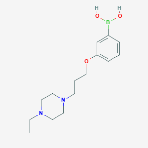 molecular formula C15H25BN2O3 B1447780 (3-(3-(4-Ethylpiperazin-1-yl)propoxy)phenyl)boronic acid CAS No. 1704063-57-9