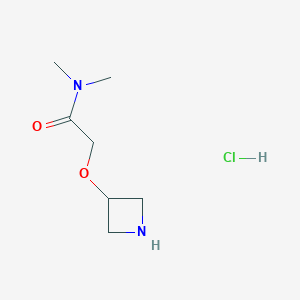molecular formula C7H15ClN2O2 B1447805 2-(azetidin-3-yloxy)-N,N-dimethylacetamide hydrochloride CAS No. 1376324-18-3