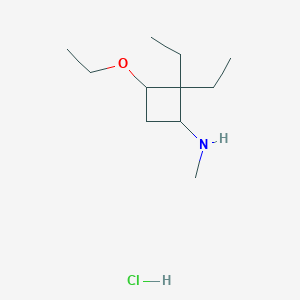 molecular formula C11H24ClNO B1447920 3-乙氧基-2,2-二乙基-N-甲基环丁-1-胺盐酸盐 CAS No. 1376038-59-3