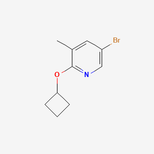 5-Bromo-2-cyclobutoxy-3-methylpyridine