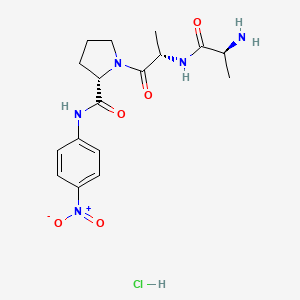 molecular formula C17H24ClN5O5 B1448091 H-Ala-Ala-Pro-pNA . HCl CAS No. 201732-27-6