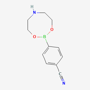 4-(1,3,6,2-Dioxazaborocan-2-YL)benzonitrile