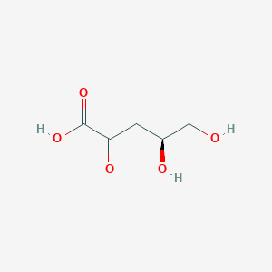 molecular formula C5H8O5 B144818 (4S)-4,5-dihydroxy-2-oxopentanoic acid CAS No. 53857-83-3