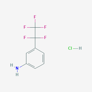 molecular formula C8H7ClF5N B1448214 3-(pentafluoroethyl)aniline hydrochloride CAS No. 1803593-11-4