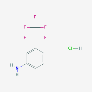 molecular formula C8H7ClF5N B1448214 3-(1,1,2,2,2-Pentafluoroethyl)aniline hydrochloride CAS No. 1803593-11-4