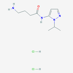 molecular formula C10H20Cl2N4O B1448302 4-amino-N-(1-isopropyl-1H-pyrazol-5-yl)butanamide dihydrochloride CAS No. 1573547-94-0