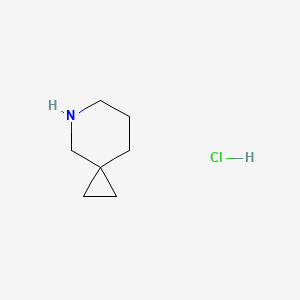 molecular formula C7H14ClN B1448351 5-Azaspiro[2.5]octane hydrochloride CAS No. 1797157-33-5
