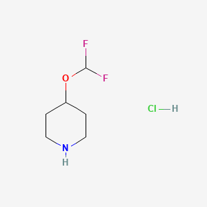 molecular formula C6H12ClF2NO B1448477 4-(Difluoromethoxy)piperidine hydrochloride CAS No. 1630907-16-2