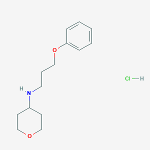 molecular formula C14H22ClNO2 B1448528 N-(3-phenoxypropyl)oxan-4-amine hydrochloride CAS No. 1803584-93-1