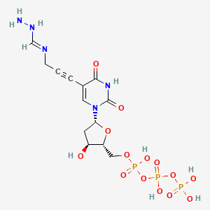 molecular formula C13H20N5O14P3 B1448615 Uridine 5'-(tetrahydrogen triphosphate), 5-[3-[(aminoiminomethyl)amino]-1-propynyl]-2'-deoxy- CAS No. 402932-20-1
