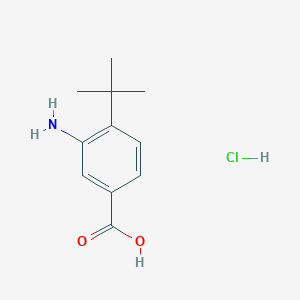 molecular formula C11H16ClNO2 B1448651 3-Amino-4-(tert-butyl)benzoic acid hydrochloride CAS No. 91246-68-3