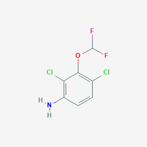 molecular formula C7H5Cl2F2NO B1448653 2,4-Dichloro-3-(difluoromethoxy)aniline CAS No. 1803786-68-6