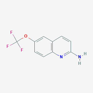 molecular formula C10H7F3N2O B1448788 6-(Trifluoromethoxy)quinolin-2-amine CAS No. 2060027-57-6