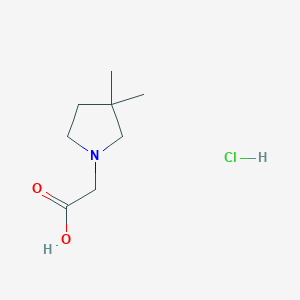 2-(3,3-Dimethylpyrrolidin-1-yl)acetic acid hydrochloride