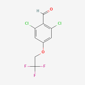 molecular formula C9H5Cl2F3O2 B1448943 2,6-Dichloro-4-(2,2,2-trifluoro-ethoxy)-benzaldehyde CAS No. 2167058-87-7