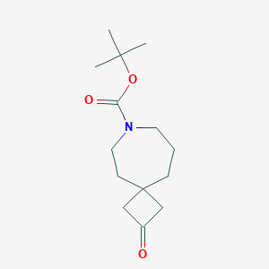 molecular formula C14H23NO3 B1448964 Tert-Butyl 2-Oxo-7-Azaspiro[3.6]Decane-7-Carboxylate CAS No. 1445951-34-7