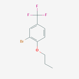 molecular formula C10H10BrF3O B1448969 2-溴-1-丙氧基-4-(三氟甲基)苯 CAS No. 1881329-92-5