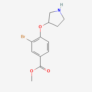 molecular formula C12H14BrNO3 B1448974 3-Bromo-4-(pyrrolidin-3-yloxy)benzoic acid methyl ester CAS No. 2204561-93-1