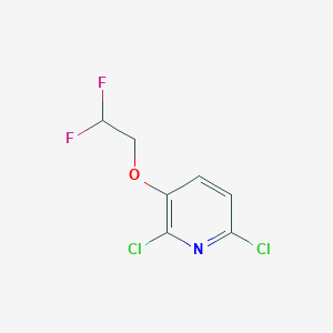 molecular formula C7H5Cl2F2NO B1449081 2,6-Dichloro-3-(2,2-difluoroethoxy)pyridine CAS No. 2208272-75-5