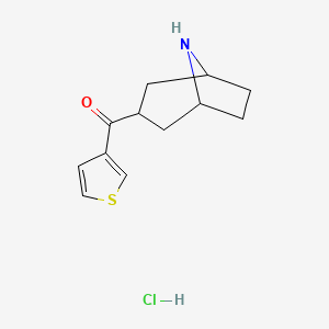 molecular formula C12H16ClNOS B1449297 (8-氮杂双环[3.2.1]辛烷-3-基)(噻吩-3-基)甲酮盐酸盐 CAS No. 1822827-99-5