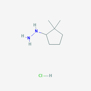 molecular formula C7H17ClN2 B1449339 (2,2-Dimethylcyclopentyl)hydrazine hydrochloride CAS No. 1803608-86-7