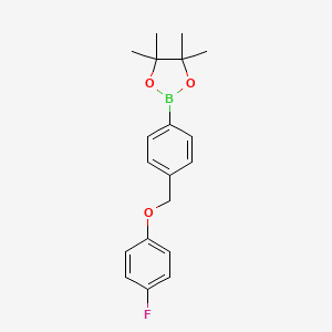 molecular formula C19H22BFO3 B1449376 2-(4-((4-Fluorophenoxy)methyl)phenyl)-4,4,5,5-tetramethyl-1,3,2-dioxaborolane CAS No. 1160829-20-8