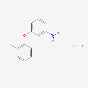 molecular formula C14H16ClNO B1449394 3-(2,4-Dimethylphenoxy)aniline hydrochloride CAS No. 2060033-12-5