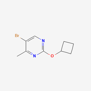 molecular formula C9H11BrN2O B1449447 5-Bromo-2-cyclobutoxy-4-methyl-pyrimidine CAS No. 1935588-15-0