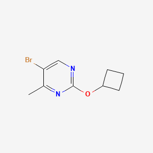 molecular formula C9H11BrN2O B1449447 5-Bromo-2-cyclobutoxy-4-methylpyrimidine CAS No. 1935588-15-0