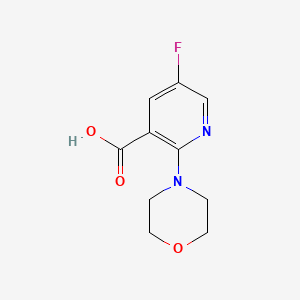molecular formula C10H11FN2O3 B1449551 5-Fluoro-2-morpholinonicotinic acid CAS No. 1694882-44-4
