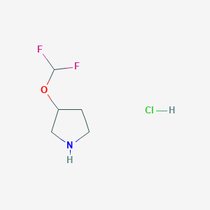 molecular formula C5H10ClF2NO B1449694 3-(Difluoromethoxy)pyrrolidine hydrochloride CAS No. 1638772-00-5