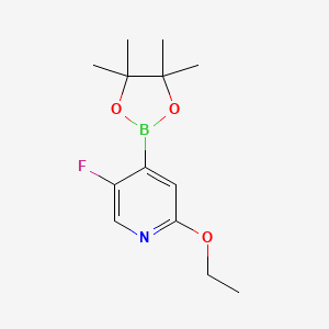 5-Fluoro-2-(ethoxy)-pyridine-4-boronic acid pinacol ester