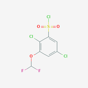 2,5-Dichloro-3-(difluoromethoxy)benzenesulfonyl chloride