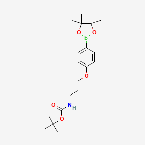 {3-[4-(4,4,5,5-Tetramethyl-[1,3,2]dioxaborolan-2-yl)-phenoxy]-propyl}-carbamic acid tert-butyl ester