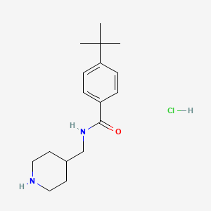 4-tert-butyl-N-(piperidin-4-ylmethyl)benzamide hydrochloride
