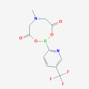 molecular formula C11H10BF3N2O4 B1450275 6-Methyl-2-[5-(trifluoromethyl)pyridin-2-yl]-1,3,6,2-dioxazaborocane-4,8-dione CAS No. 1802736-35-1
