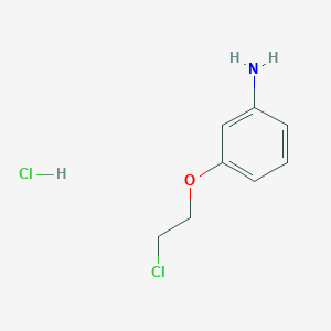 B1450285 [3-(2-Chloroethoxy)phenyl]amine hydrochloride CAS No. 1609407-46-6