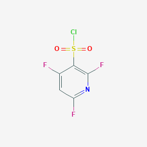 molecular formula C5HClF3NO2S B1450593 2,4,6-Trifluoropyridine-3-sulfonyl chloride CAS No. 1803609-38-2