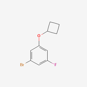 molecular formula C10H10BrFO B1450654 1-Bromo-3-cyclobutoxy-5-fluorobenzene CAS No. 1856321-92-0
