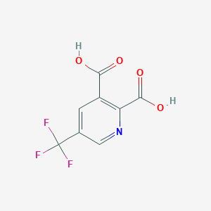 molecular formula C8H4F3NO4 B1450997 5-(Trifluoromethyl)pyridine-2,3-dicarboxylic acid CAS No. 1202634-08-9