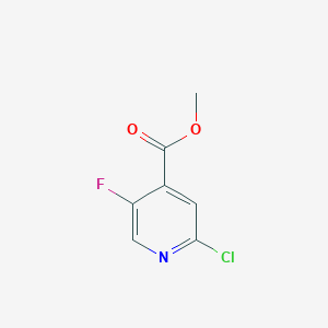 molecular formula C7H5ClFNO2 B1451029 甲基2-氯-5-氟吡啶-4-羧酸酯 CAS No. 876919-10-7