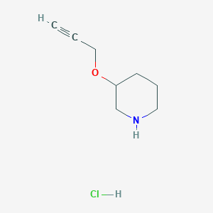 molecular formula C8H14ClNO B1451033 3-(2-Propynyloxy)piperidine hydrochloride CAS No. 1185301-44-3