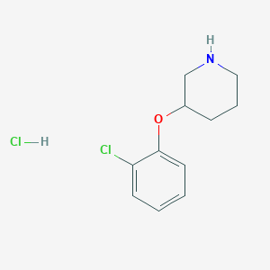 molecular formula C11H15Cl2NO B1451034 3-(2-Chlorophenoxy)piperidine hydrochloride CAS No. 1185297-88-4