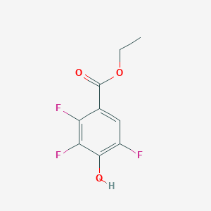 molecular formula C9H7F3O3 B1451043 Ethyl 2,3,5-trifluoro-4-hydroxybenzoate CAS No. 1214351-42-4