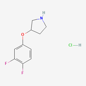 molecular formula C10H12ClF2NO B1451068 3-(3,4-Difluorophenoxy)pyrrolidine hydrochloride CAS No. 1184994-85-1